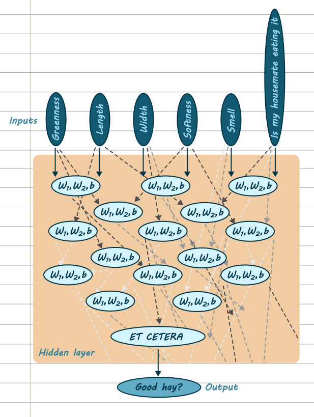 A flow chart representing a neural net for sorting. The inputs are greenness, length, width, softness, smell and is my housemate eating it. The hidden layer box is a mess of arrows going everywhere, and lots of neurons represented as circles containing W1, W2, b. There is a bigger circle at the bottom that says et cetera. This leads to an output called 'good hay?'.